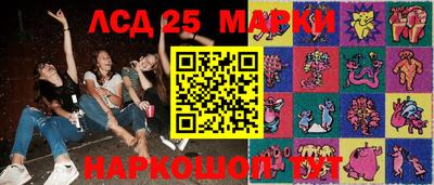 спиды Гатчина