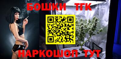 спиды Гатчина