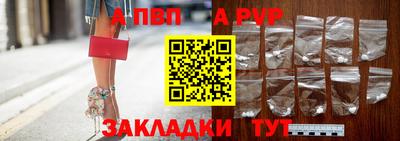 стафф Гай