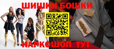 стафф Гай