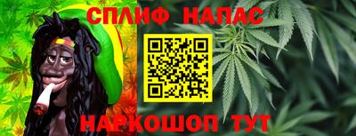 стафф Гай