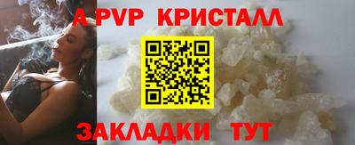 спиды Гатчина