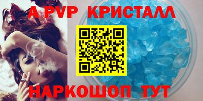 спиды Гатчина