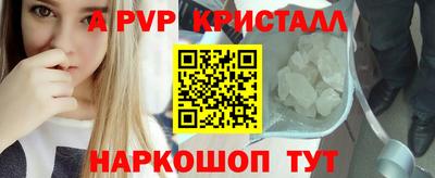 стафф Гай
