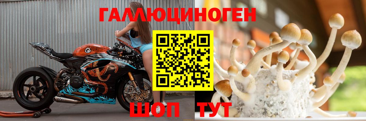 Галлюциногенные грибы мицелий Ишимбай